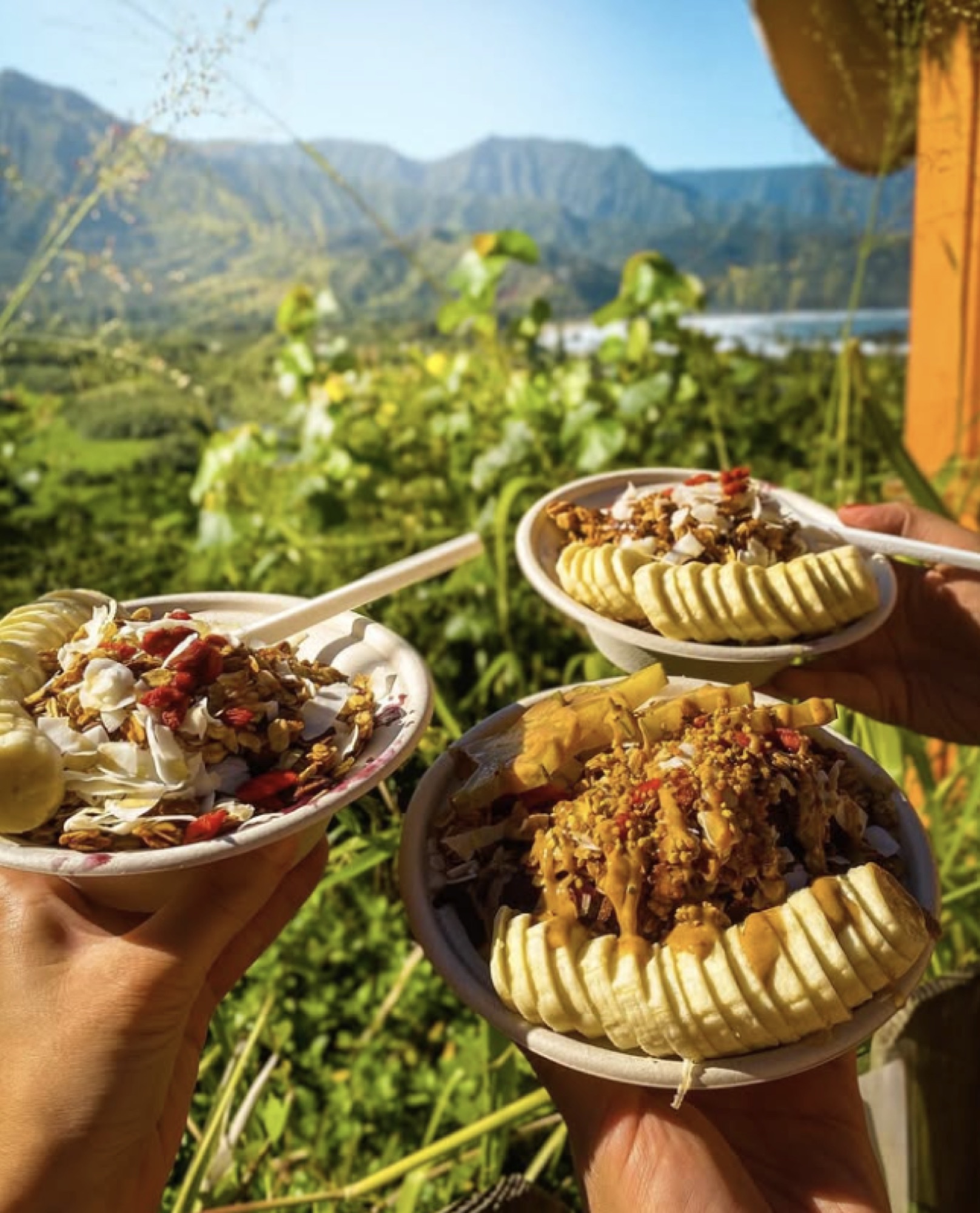 Acai bowls at a North Shore lookout