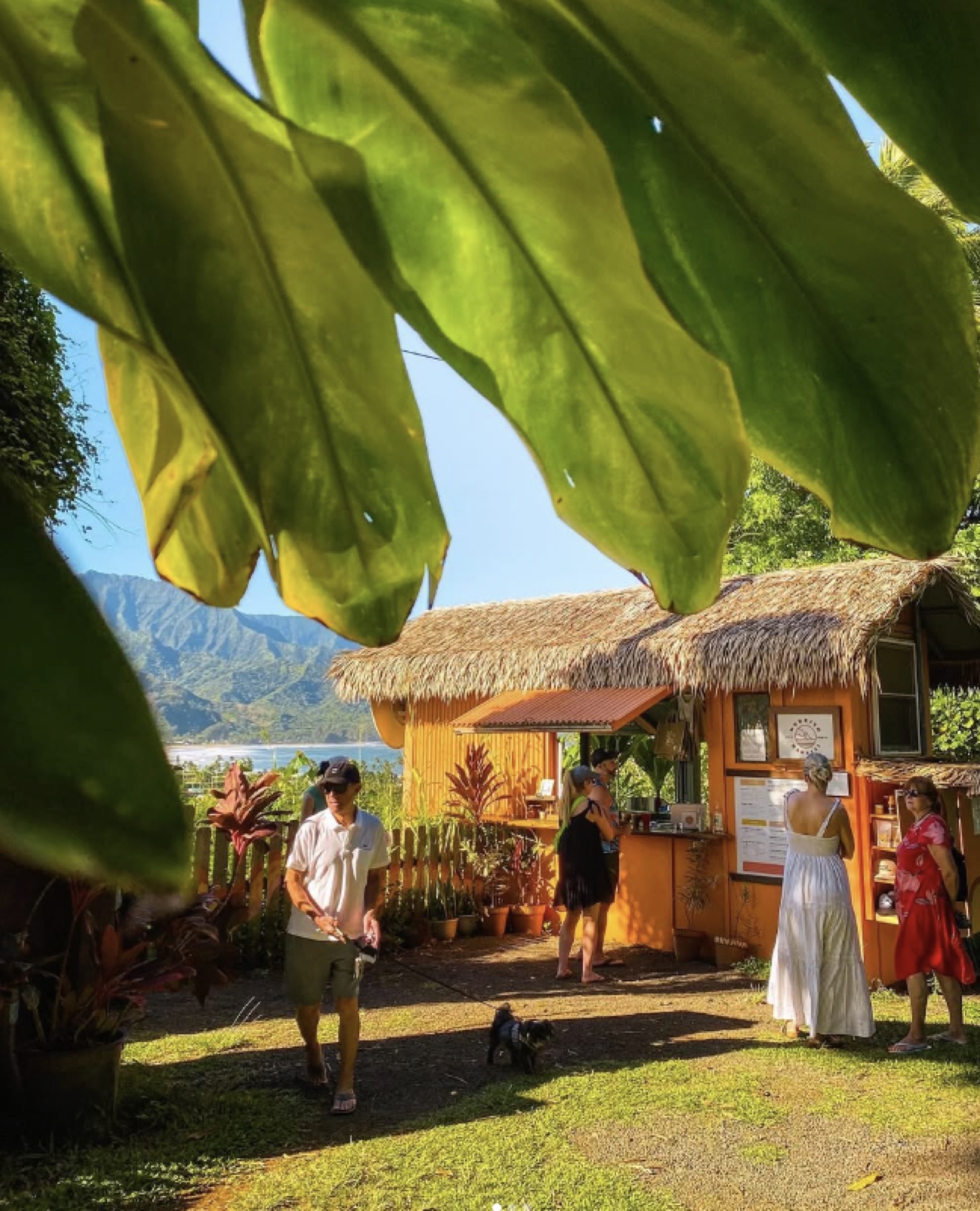 Monarch Cafe in Hanalei with mountains behind