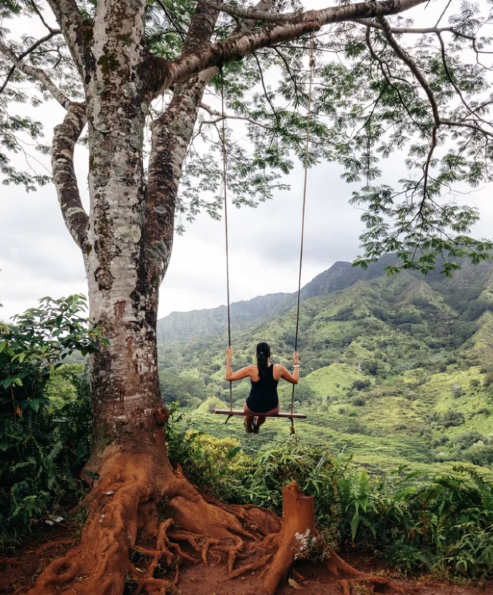 Valley swing overlook on Kauai